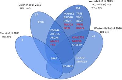 Novel targeted treatments in hairy cell leukemia and other hairy cell-like disorders